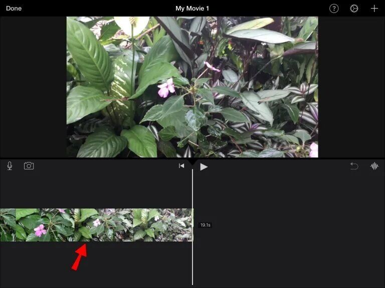 IMG_2662-768x576 كيفية قص مقاطع الفيديو في IMovie