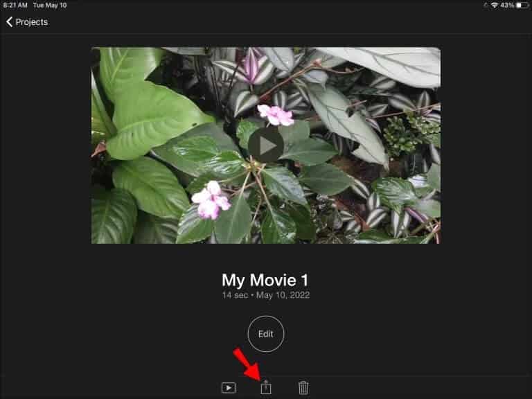 IMG_2665-768x576 كيفية قص مقاطع الفيديو في IMovie