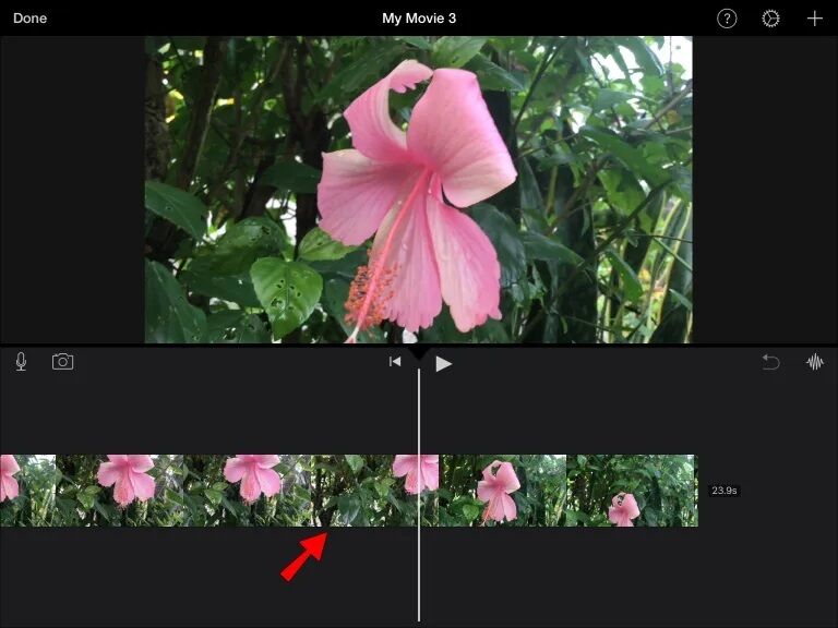 IMG_2667-768x576 كيفية قص مقاطع الفيديو في IMovie