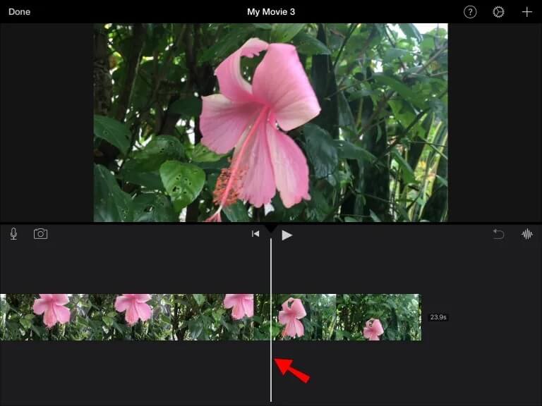 IMG_2668-768x576 كيفية قص مقاطع الفيديو في IMovie