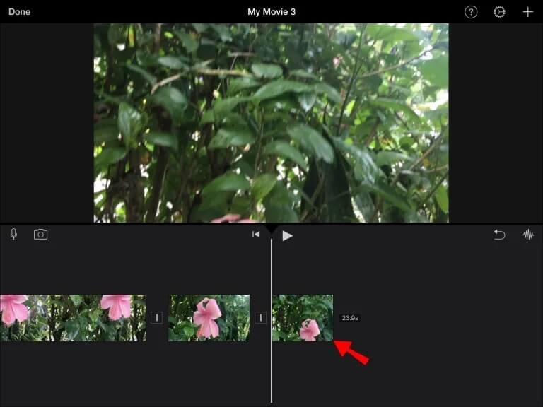 IMG_2671-768x576 كيفية قص مقاطع الفيديو في IMovie