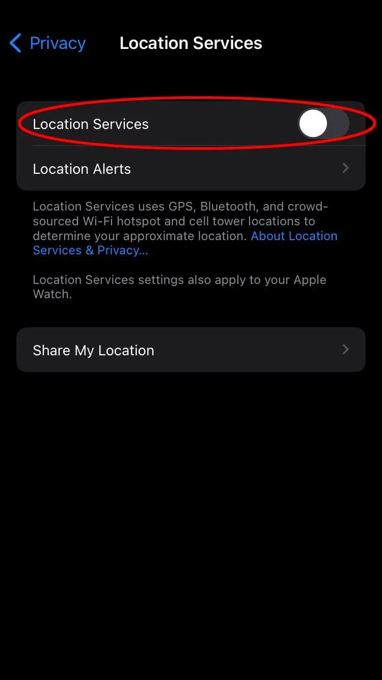 IMG_4203-750x1334 ماذا يعني Live في Find My؟