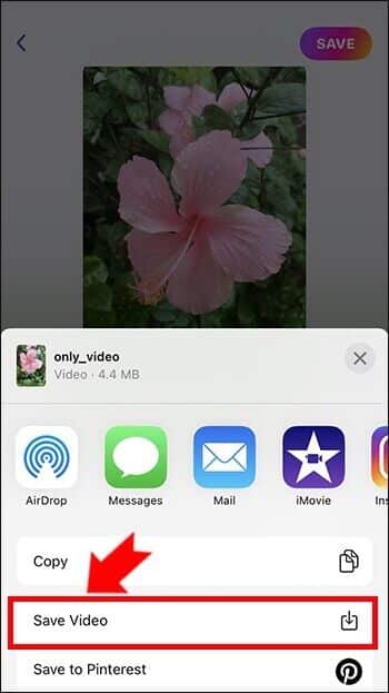 b15-350x623 كيفية تكرار مقطع فيديو على جهاز iPhone