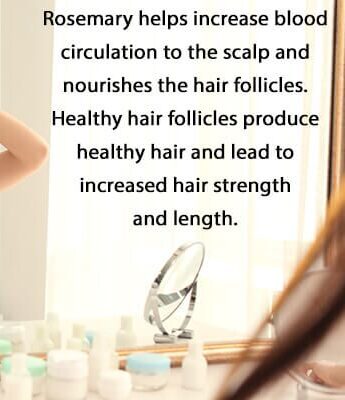 شطف الشعر بنبتة إكليل الجبل: كيفية صنعها وفوائدها - %categories