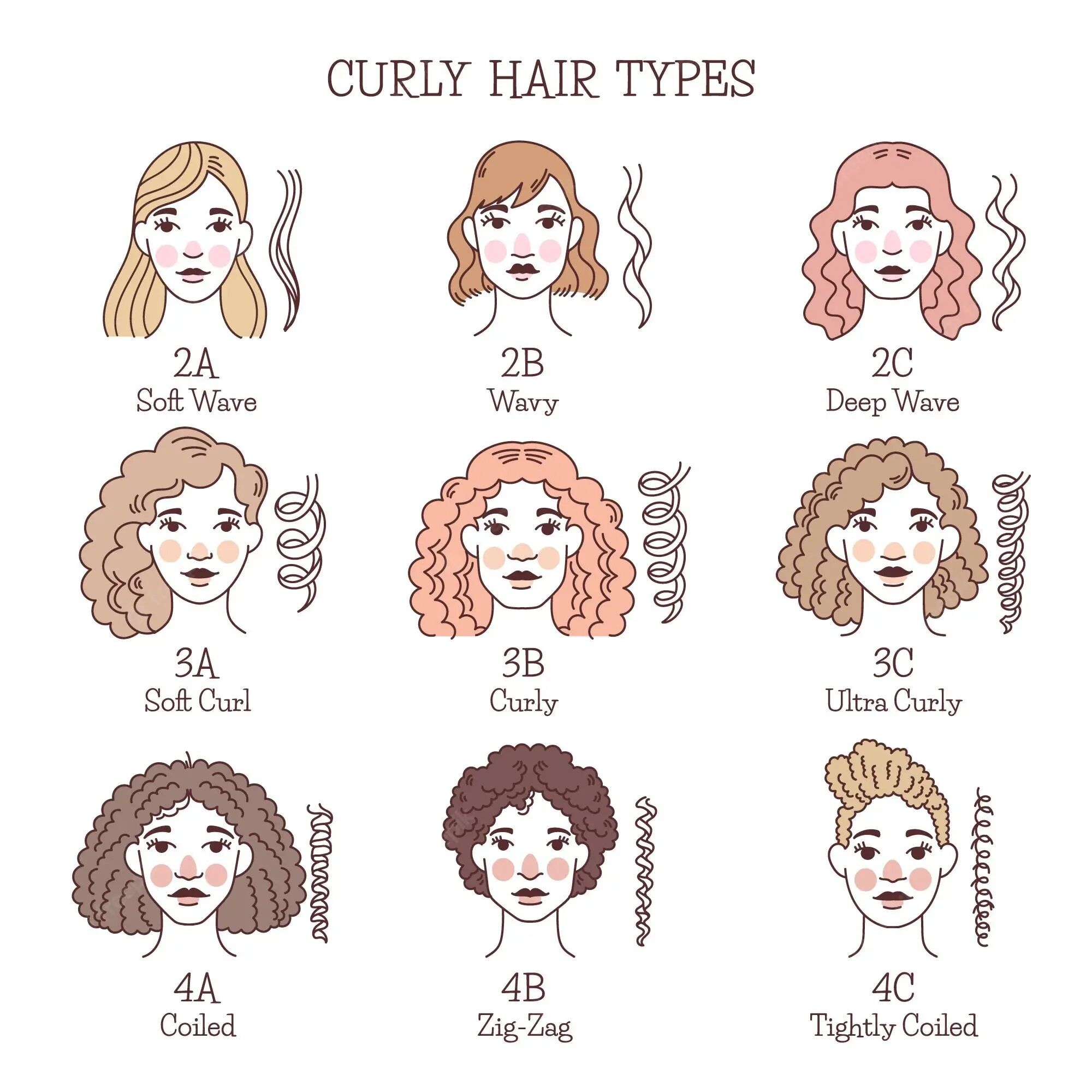 نصائح للعناية بالشعر لأنواع الشعر المختلفة - skin-beauty hand drawn curly hair types set 23 2148838081 2000x2000 - نصائح للعناية بالشعر لأنواع الشعر المختلفة