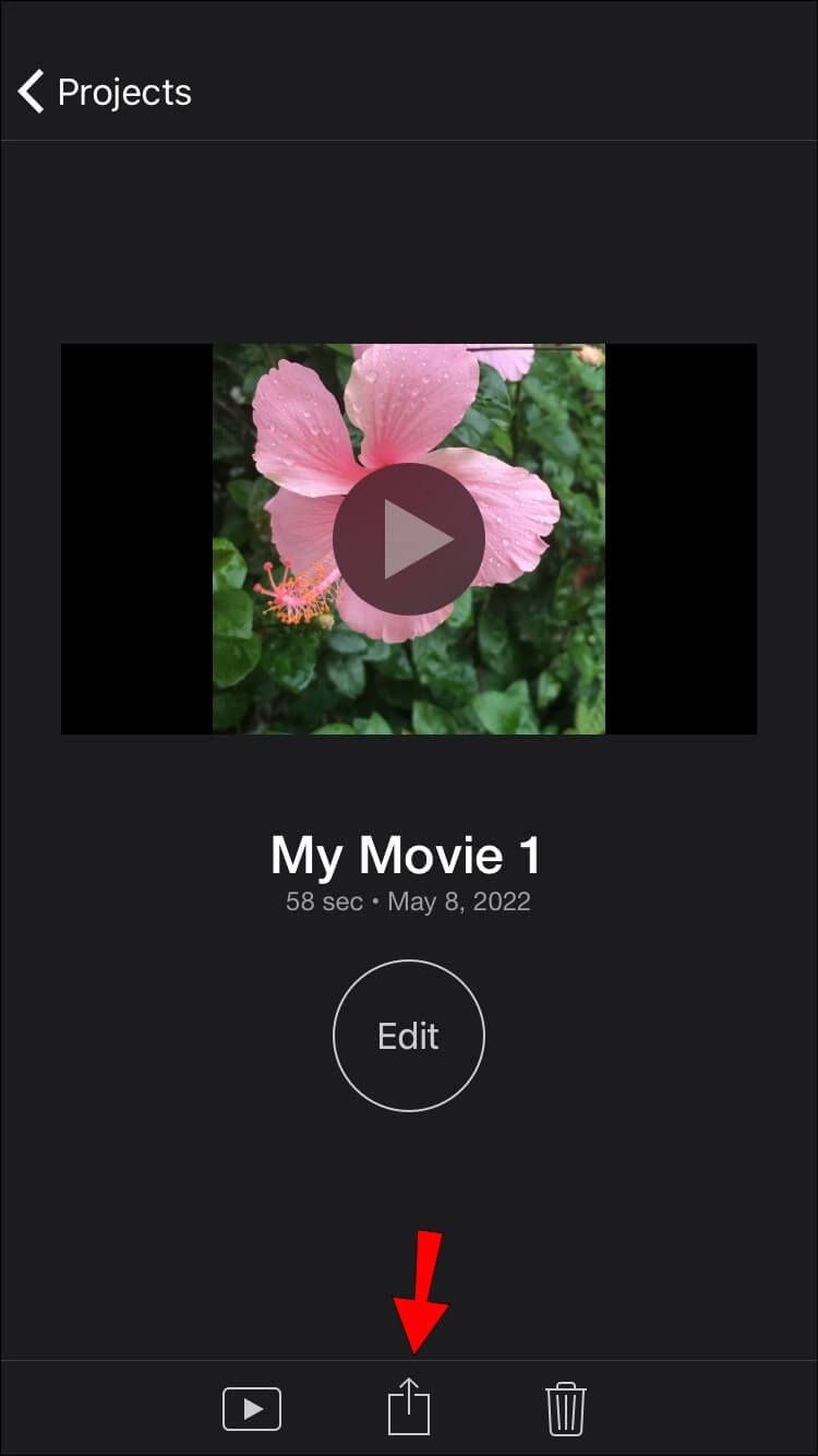 iMovie_Export-750x1334 كيفية قص مقاطع الفيديو في IMovie