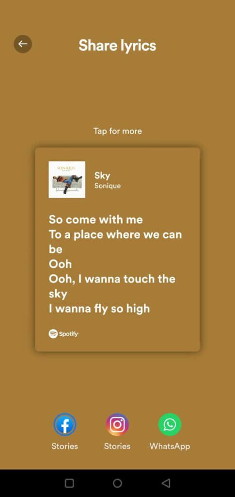 spotify-lyrics-lyric-card-485x1024-1-485x1024 كيفية عرض كلمات الأغاني على Spotify على الهاتف المحمول وسطح المكتب