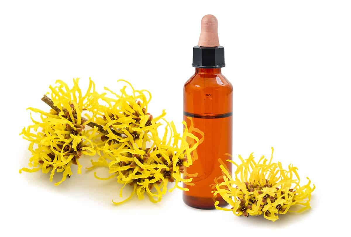 amazing uses of witch hazel feat 1200x811 - 9 استخدامات مذهلة من بندق الساحرة لم تفكر بها أبدًا