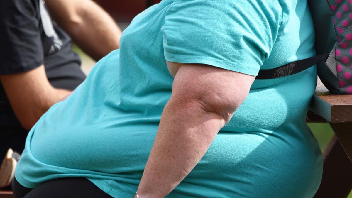 Het beste dieet en dieetplannen om van zwaarlijvigheid af te komen - %categorieën