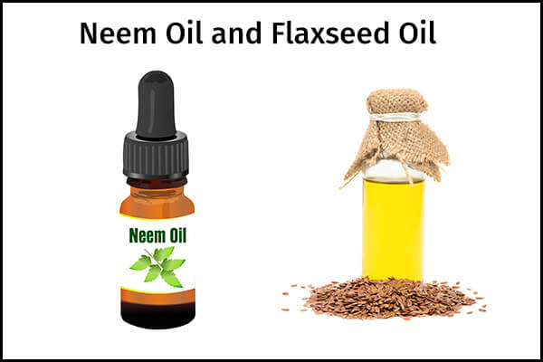 5 علاجات منزلية لتقليل الورم الشحمي - skin-beauty mixture of neem oil and flexseed oil to manage lipoma 600x400 - 5 علاجات منزلية لتقليل الورم الشحمي