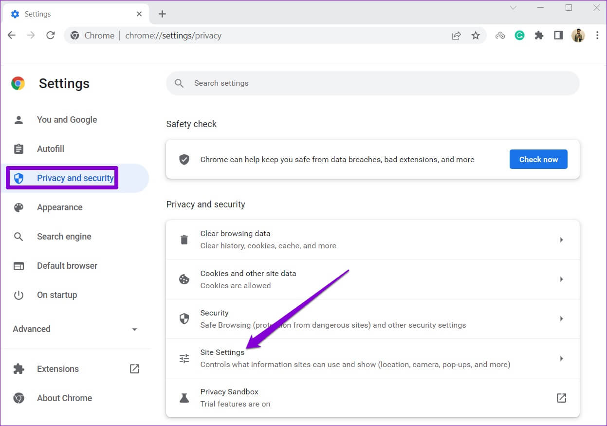 Site-Settings-in-Chrome-3-1247x875 طرق إصلاح عدم عمل إشعارات Google Chrome على Windows 11