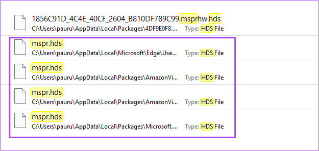delete-mspr.hds-files-windows-11 أفضل 9 إصلاحات لعدم عمل برنامج Netflix على Windows 11
