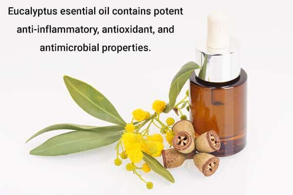 eucalyptus essential oils and their health benefits 600x400 - أفصل 10 اسماء زيوت عطرية للجسم وفوائدها الصحية