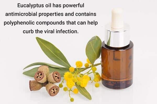 eucalyptus oil helps to treat herpes 600x400 - 7 علاجات منزلية لعدوى الهربس وكيفية استخدامها