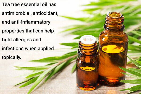 tea tree essential oils and their health benefits 600x400 - أفصل 10 اسماء زيوت عطرية للجسم وفوائدها الصحية