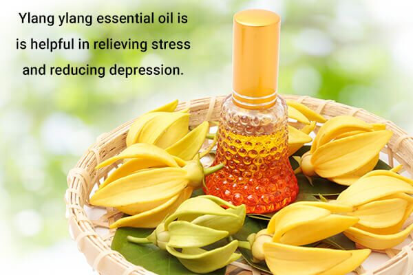 ylang ylang essential oils and their health benefits 600x400 - أفصل 10 اسماء زيوت عطرية للجسم وفوائدها الصحية