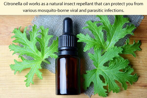your-natural-first-aid-kit-should-contain-citronella-oil-600x400 كيفة تحضير مجموعة الإسعافات الأولية الطبيعية