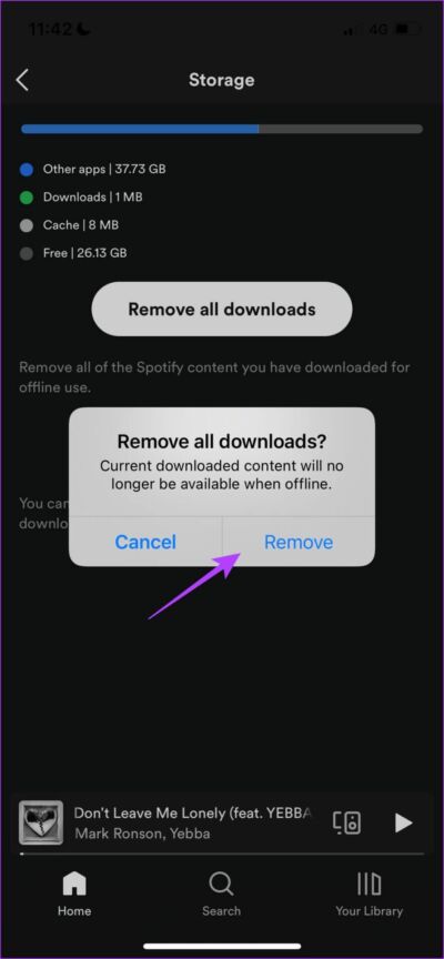 Confrim-Remove-Downloads-iOS-889x1920-e1661800220897 لماذا يشغل Spotify مساحة تخزين كبيرة وكيفية إصلاح ذلك