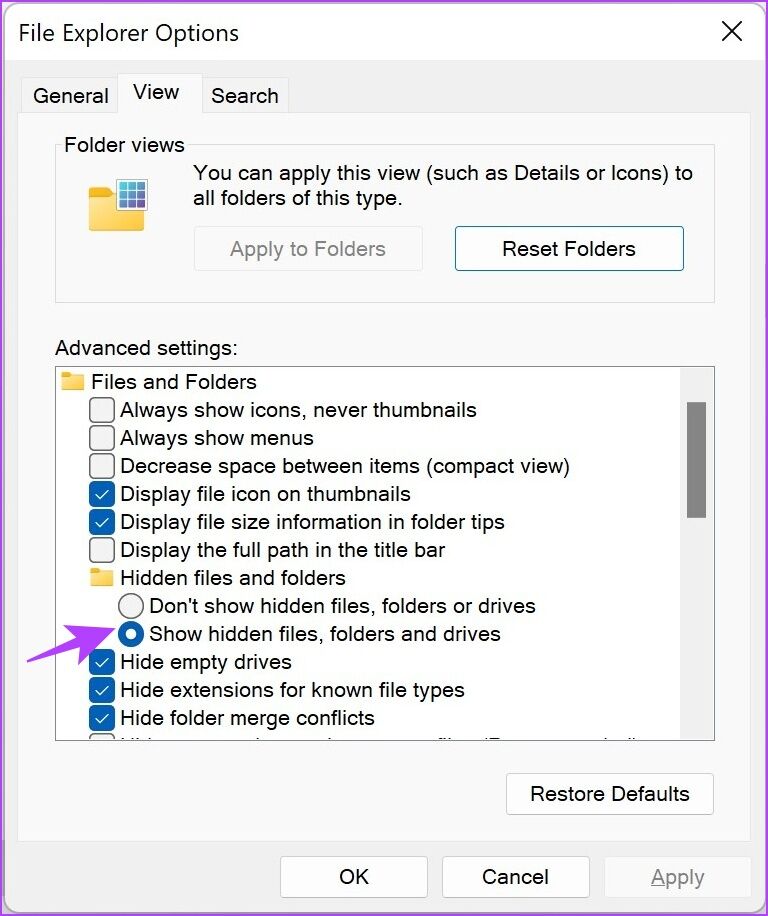 Show-hidden-files-folders-and-drives-768x916 لماذا يشغل Spotify مساحة تخزين كبيرة وكيفية إصلاح ذلك