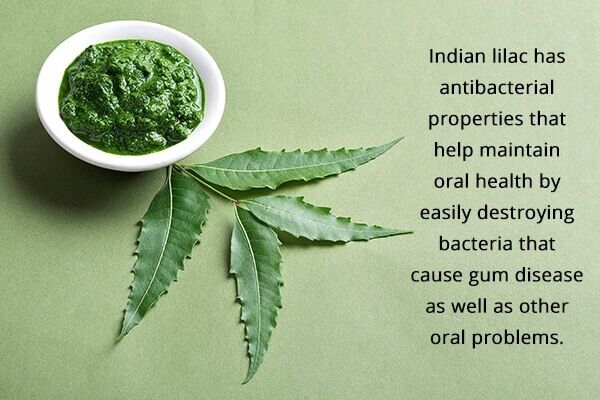 10 علاجات منزلية لانحسار اللثة - oral-health brush your teeth with indian lilac paste for receding gums 600x400 - 10 علاجات منزلية لانحسار اللثة