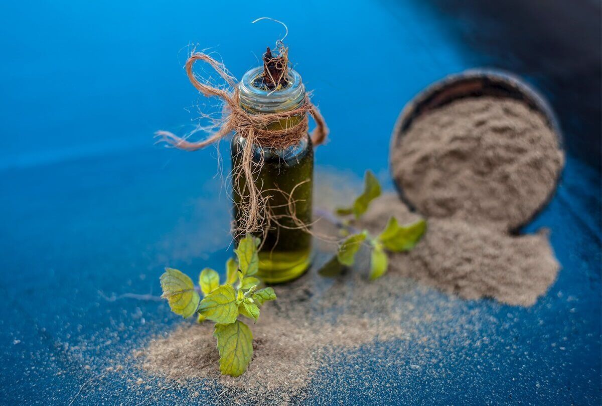 10 أعشاب لتقوية أداء الذاكرة والدماغ - organicfacts herbs to your diet to boost memory and brain performance feat 1200x811 - 10 أعشاب لتقوية أداء الذاكرة والدماغ