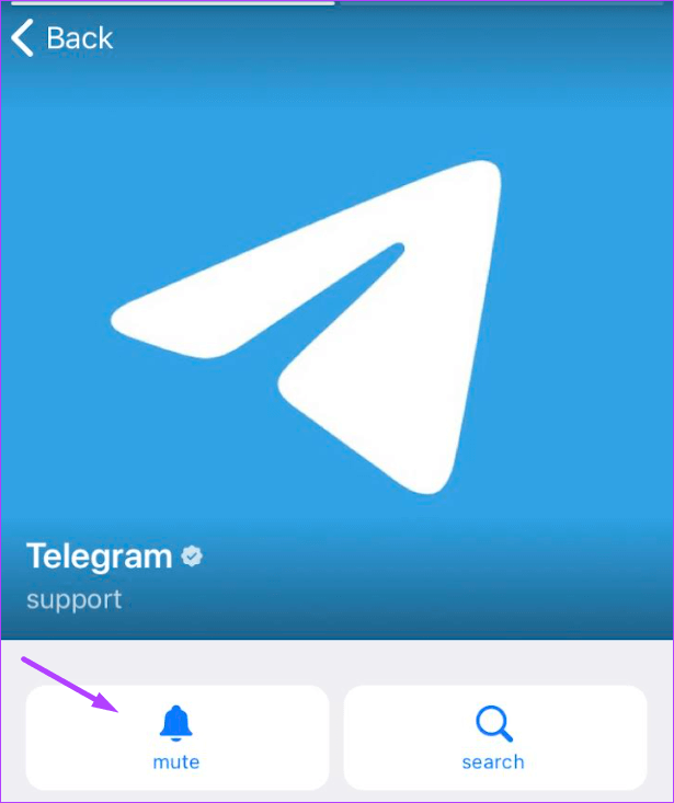 كيفية إنشاء فترات كتم صوت مخصصة في Telegram على سطح المكتب والجوال - %categories