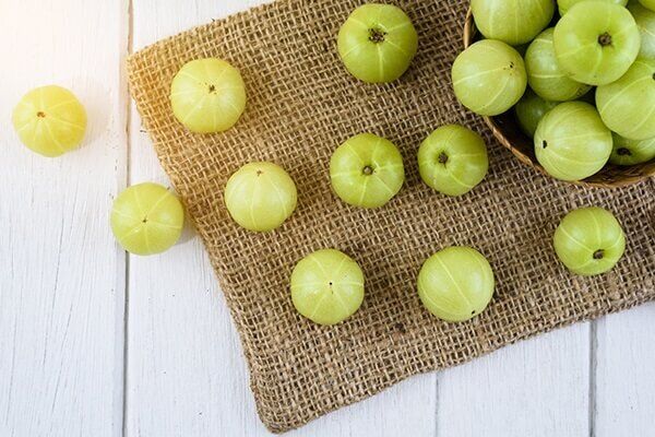 10 علاجات منزلية لانحسار اللثة - oral-health munch on indian gooseberry for receding gums 600x400 - 10 علاجات منزلية لانحسار اللثة