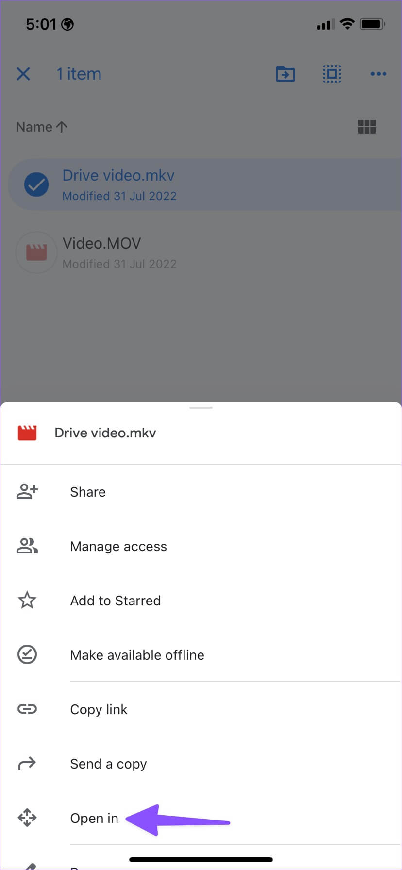 open-google-drive-videos-828x1792 كيفية تنزيل وتشغيل مقاطع فيديو Google Drive على iPhone