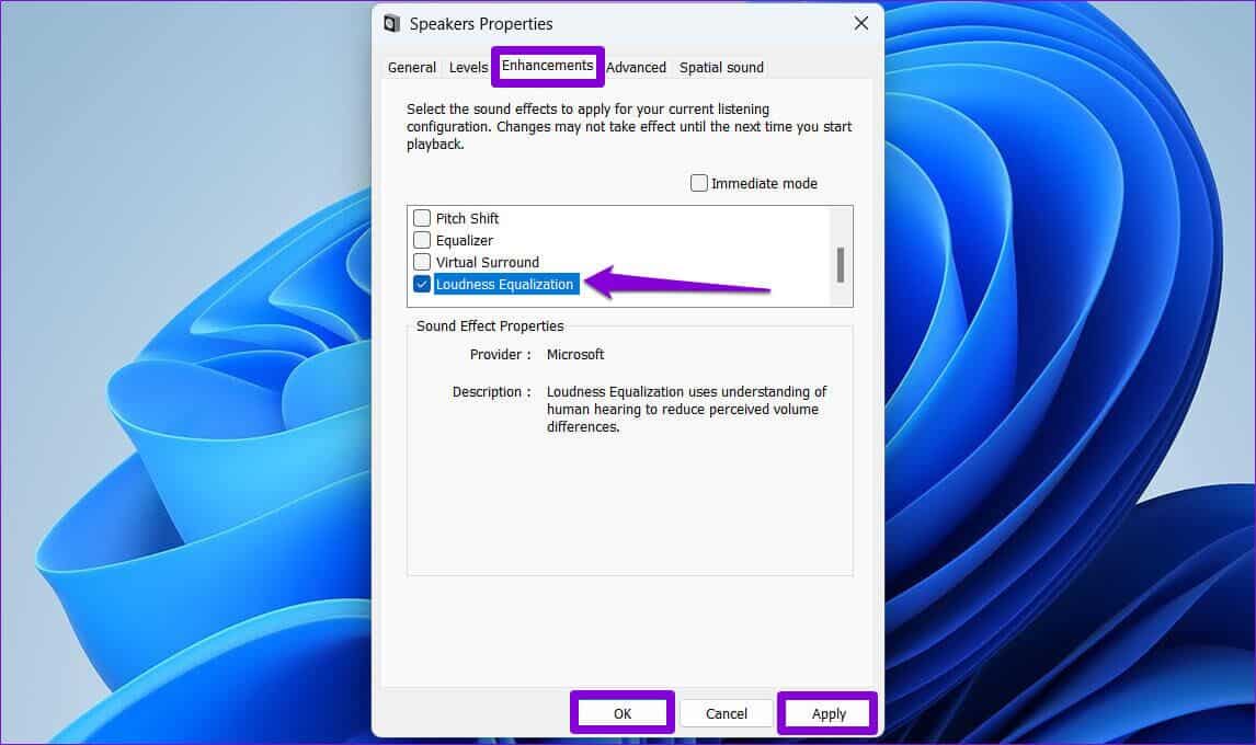 Enable-Loudness-Equalization-on-Windows-1146x680 أفضل 7 طرق لإصلاح انخفاض حجم الصوت على Windows 11