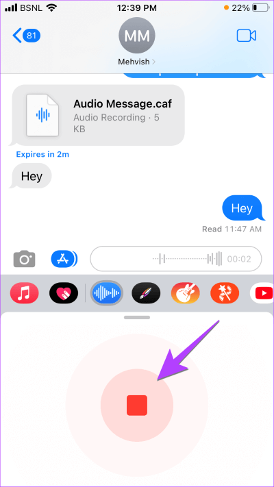 Stop-16-Audio-message-recording كيفية إرسال رسالة صوتية على iPhone (تحديث iOS 16)