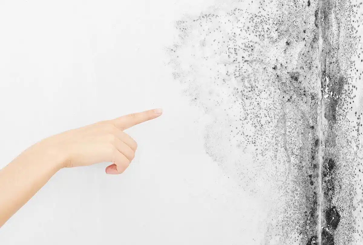 Toxicité des moisissures : signes avant-coureurs, complications et conseils préventifs - Respiratoire signes avant-coureurs et symptômes de la toxicité des moisissures que vous devez connaître feat 1200x811 - Toxicité des moisissures : signes d'avertissement, complications et conseils préventifs