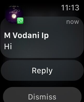 Apple-Watch-WhatsApp-Reply-324x394 كيفية استخدام WhatsApp على Apple Watch