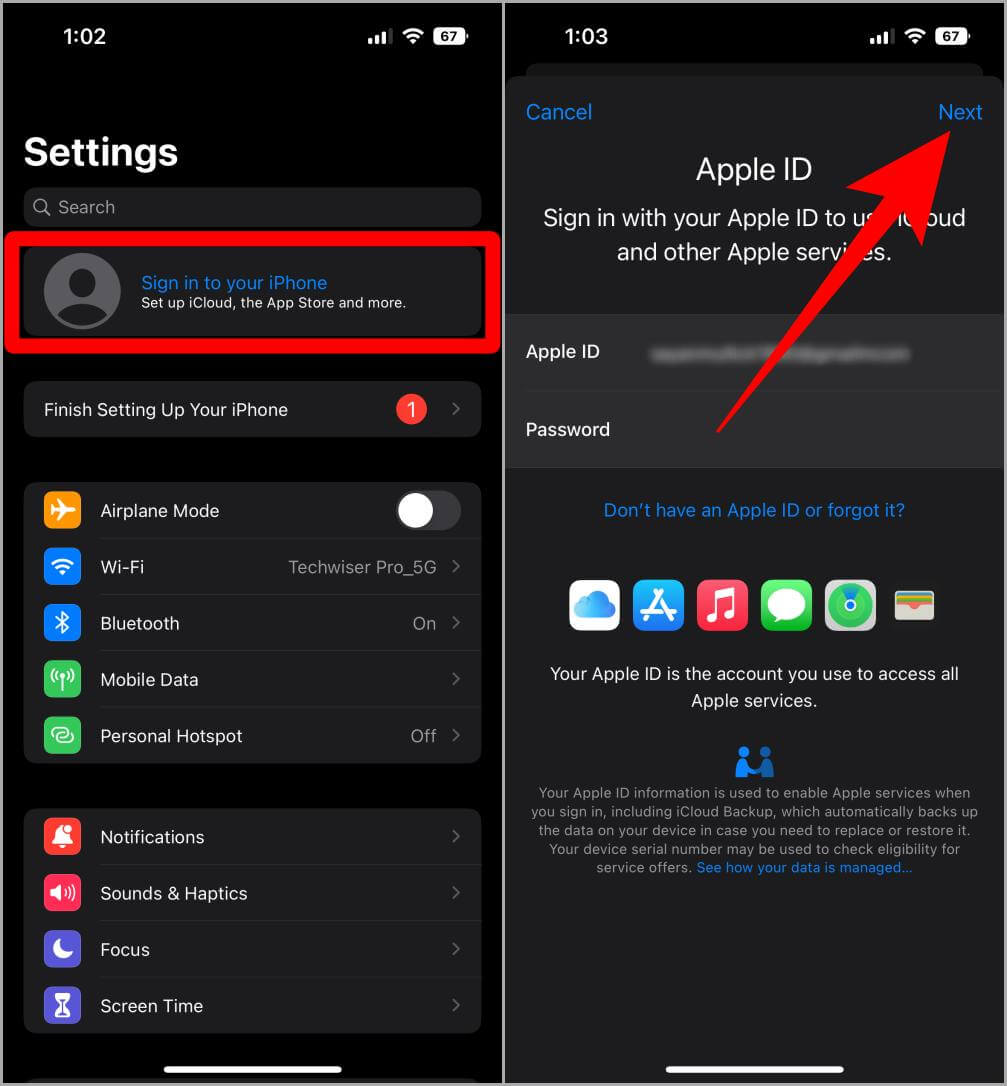AppleID-Sign-In-Settings-1-1007x1086 أفضل 4 إصلاحات لمشاكل تشغيل Mail على iPhone
