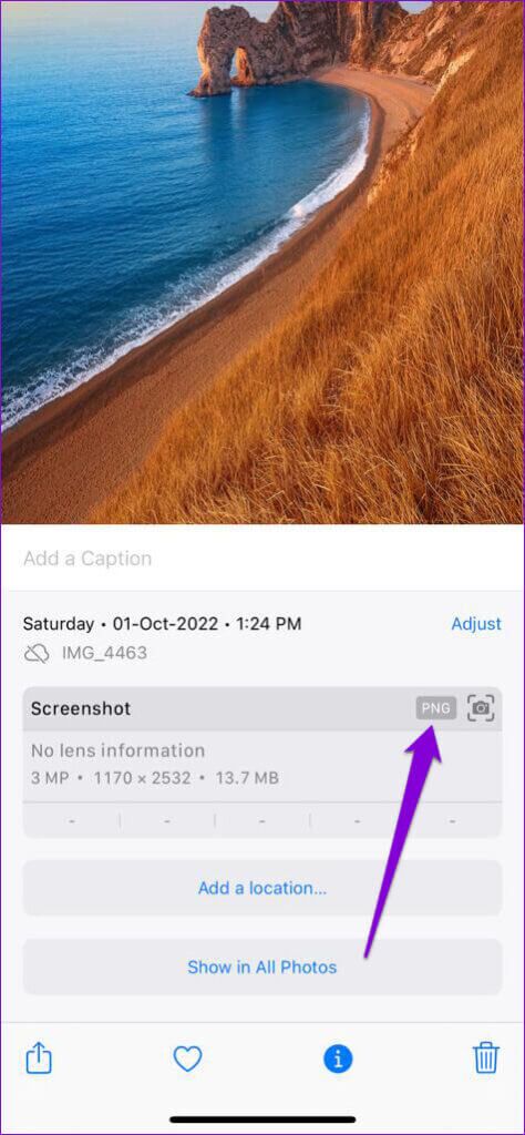 Check-Image-File-Format-on-iPhone-474x1024-1-474x1024 أفضل 6 طرق لإصلاح عدم عمل تأثير العمق (Depth Effect) في الخلفية على iPhone