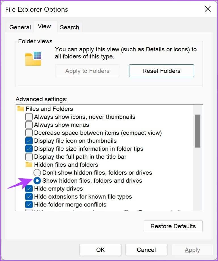 Show-hidden-files-folders-and-drives-1-768x916 13 طريقة لإصلاح Spotify يحافظ على مشكلة التعطل على Windows