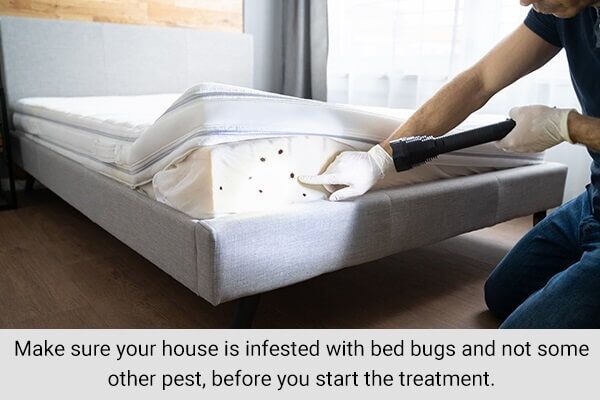 additional-tips-pervent-and-control-bed-bug-600x400 كيفية منع الإصابة ببق الفراش والسيطرة عليه