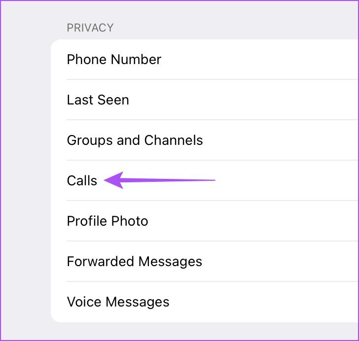 calls-privacy-settings-telegram-mac أفضل 5 إصلاحات لعدم عمل مكالمات فيديو Telegram لسطح المكتب على نظام Mac
