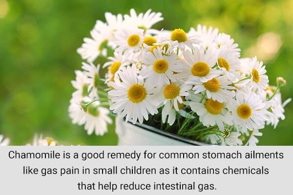 chamomile gas pain in toddlers 600x400 - 7 علاجات منزلية لتخفيف آلام الغازات عند الرضع
