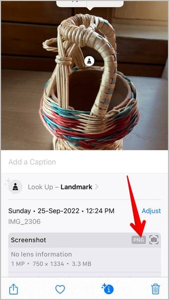 iPhone-Image-Format-Check-340x602 8 طرق لإصلاح عدم عمل iOS 16 Photo Cutout