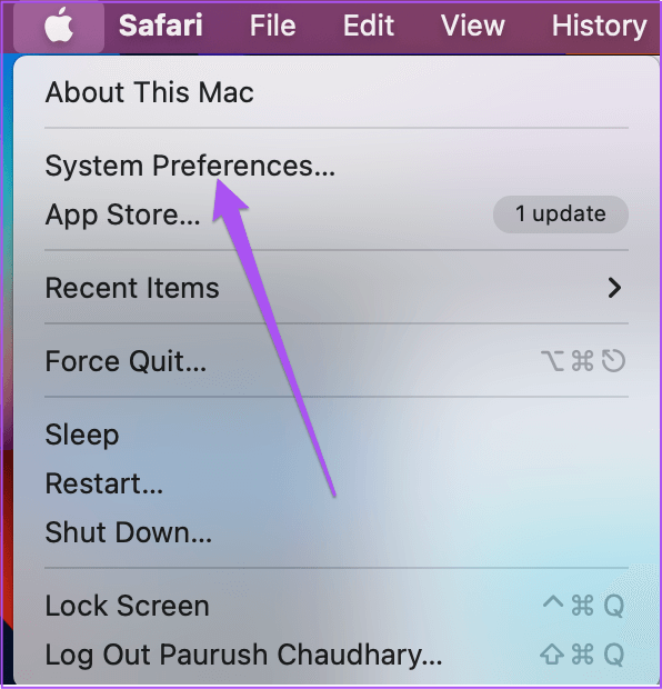system-preferences-apple-logo-mac أفضل 5 إصلاحات لعدم عمل AirPlay على Mac