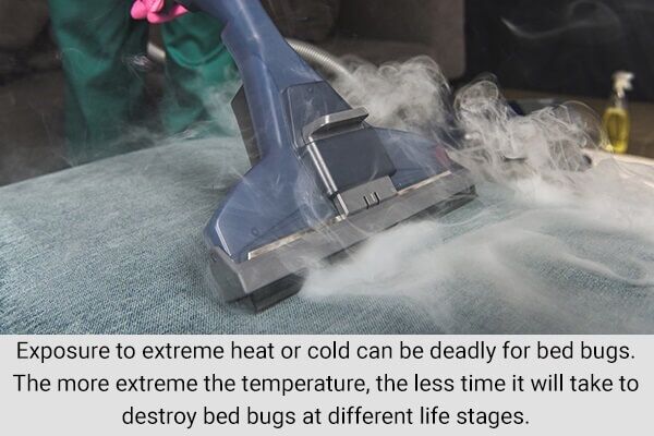 use-non-chemical-control-treatment-pervent-and-control-bed-bug-600x400 كيفية منع الإصابة ببق الفراش والسيطرة عليه