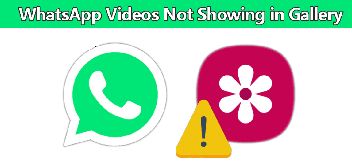 أفضل 5 طرق لإصلاح عدم ظهور مقاطع فيديو WhatsApp في المعرض - %categories