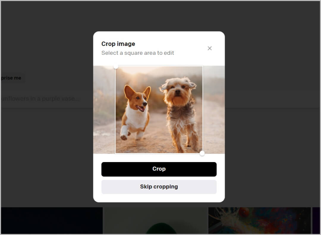 Cropping-images-to-upload-on-DALL-E-2-1080x789 كيفية استخدام DALL-E 2 لإنشاء صور فريدة من نوعها من خلال الذكاء الاصطناعي
