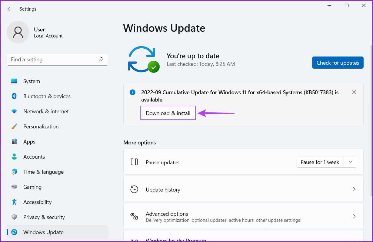 Download-and-install-an-update أفضل 8 طرق لإصلاح الملفات الفاسدة و التالفة على نظام التشغيل Windows 11