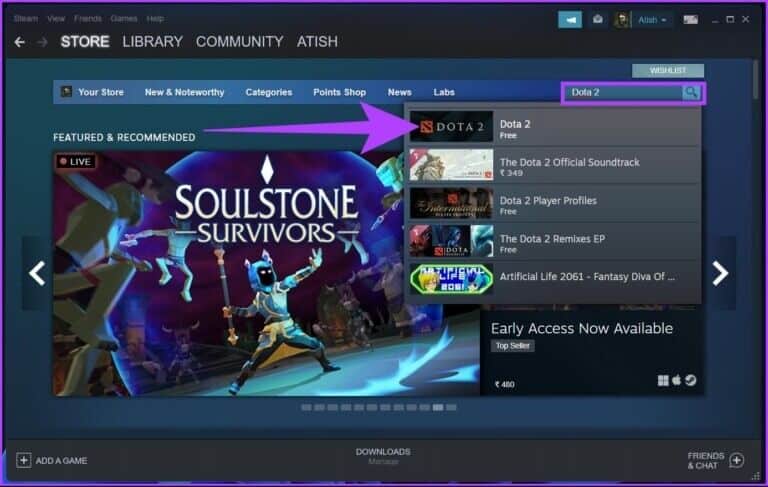 Steam-on-Windows-11_17-768x487-1-768x487 كيفية تنزيل Steam واستخدامه على Windows 11