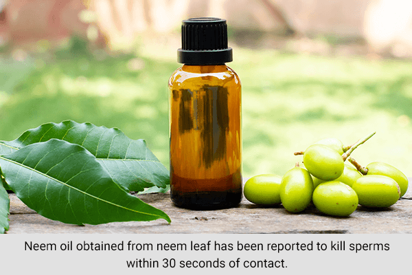neem-natural-birth-control أعشاب قد تساعد في تنظيم النسل