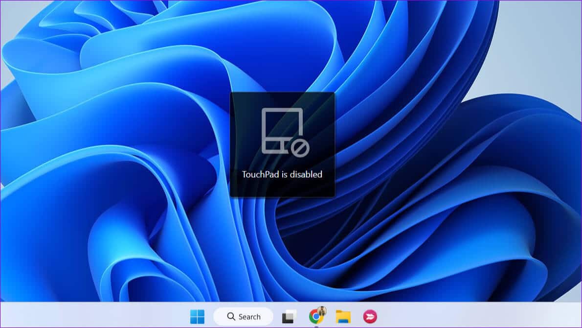 Disable-Touchpad-Using-Function-Keys أفضل 5 طرق لتعطيل لوحة اللمس في أجهزة الكمبيوتر المحمولة Windows 11