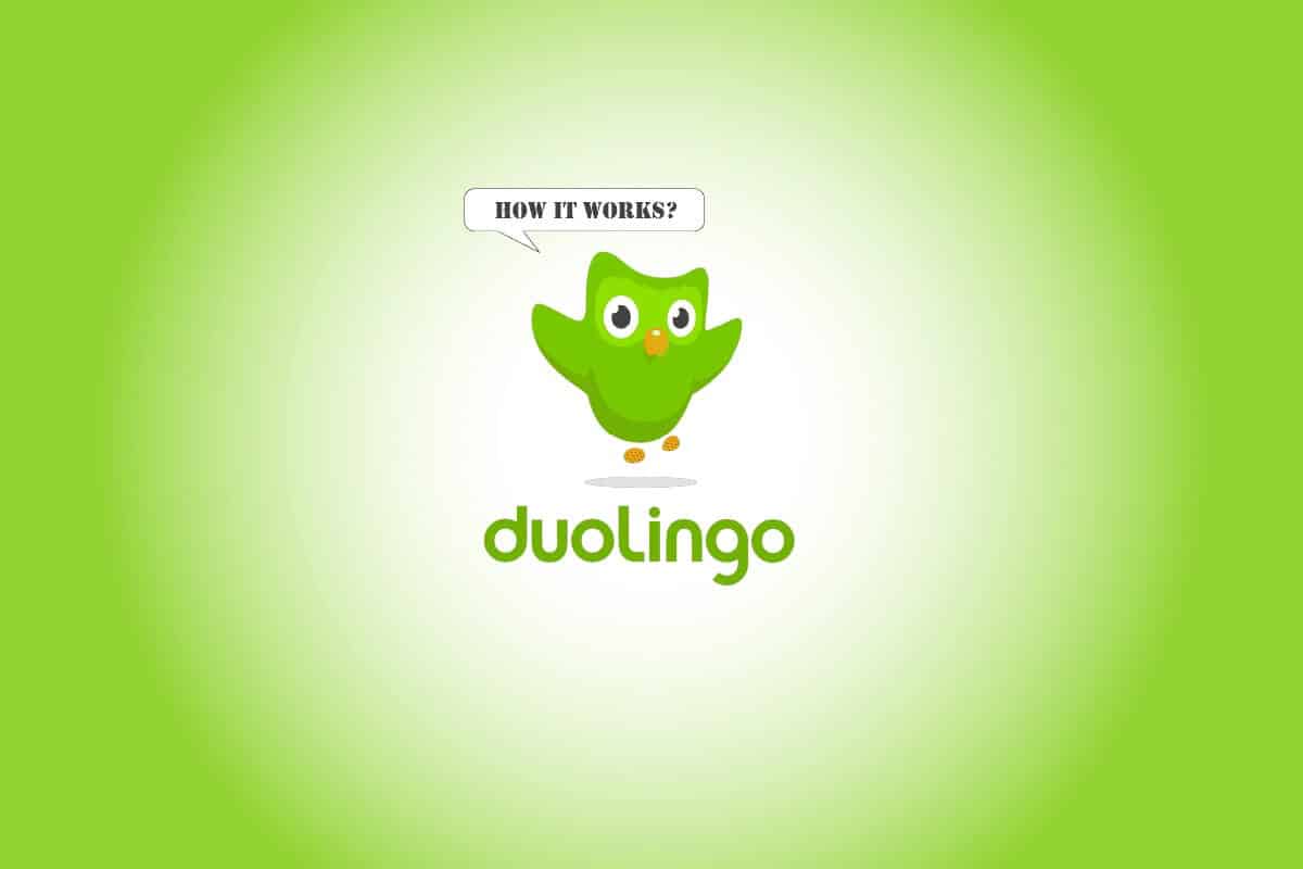 How-Duolingo-works ما هو Duolingo وكيف يعمل Duolingo ؟ النصائح والحيل
