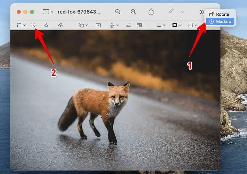 كيفية جعل صورة شفافة بدون Photoshop - %categories