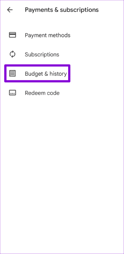 Play-Store-Budget-and-History-500x1024-1 كيفية عرض وإدارة تطبيقاتك التي تم تنزيلها مسبقًا على Android و iPhone